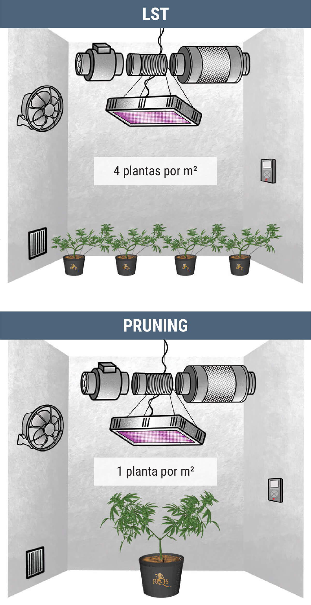 ¿Cuántas Plantas De Marihuana Puedes Cultivar Por Metro Cuadrado? ¿Cuántas Plantas De Marihuana Puedes Cultivar Por Metro Cuadrado?