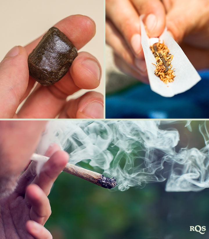 Principy biointenzivního zahradničení Ilustrace biointenzivního zahradničení, která znázorňuje maximální produktivitu, zdravější rostliny, silné palice, doprovodné výsadby, hluboké obdělávání půdy a zlepšenou kvalitu půdy.