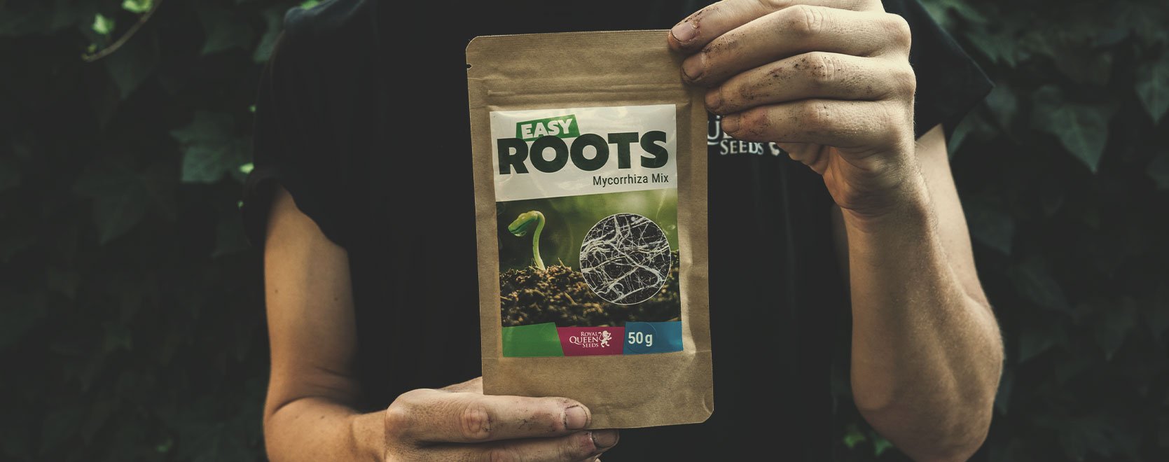 A Few Tips for Your Medical Cannabis Garden or Grow Room A Few Tips for Your Medical Cannabis Garden or Grow Room